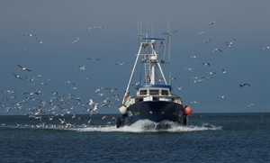 Pesca: gasolio oltre 1 euro al litro, cooperazione chiede ritorno del credito d’imposta